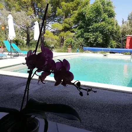 De La Diligence Bed & Breakfast *